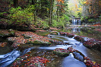 Waterfall of the River Herisson, Haut-Jura Regional Nature Park, France, October.