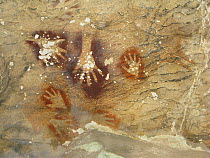 Hand paintings in Sumpang Bita cave, among the oldest paintings in the world at 39,000 years, Sulawesin ,Indonesia