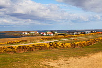 Goose Green town, East Falkland, Falkland Islands, November 2015