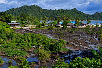 Mangrove deforestation, clearcutting in Eastern Misool Island, Raja Ampat, Western Papua, Indonesian New Guinea