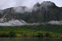 Morning mist in the rainforests around Lobo village, Triton Bay, mainland New Guinea, Western Papua, Indonesian New Guinea