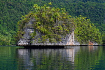 Karst island archipelago, Triton Bay, Mainland New Guinea, Western Papua, Indonesian New Guinea.