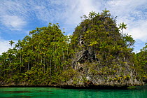 Karst island archipelago, Triton Bay, Mainland New Guinea, Western Papua, Indonesian New Guinea