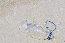 Plastic bottle discarded in the sea and washed ashore, Triton Bay, Mainland New Guinea, Western Papua, Indonesian New Guinea