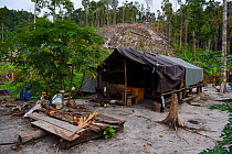 Logging camp/settlement, Karawawi River, Kumawa Peninsula, mainland New Guinea, Western Papua, Indonesian New Guinea