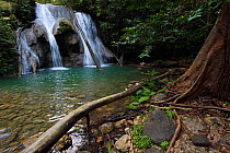 Rainforest waterfall, Batenta Island, Raja Ampat, Western Papua, Indonesian New Guinea