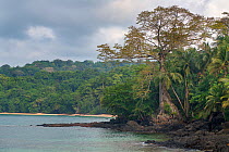 North Coast of Principe Island. Forest in the sea.  Bom Bom Beach. Biospher Reserve by UNESCO. Democratic Republic of Sao Tome and Principe, Gulf of Guinea.