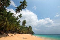Beach at the north of Principe Island, Democratic Republic of Sao Tome and Principe, Gulf of Guinea.