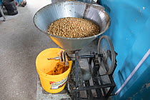 Peanut butter mill, Ecuador, February 2017.