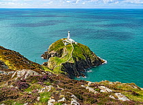 South Stack Lighthouse situated off Holy Island near Holyhead Anglesey, North Wales, UK, September.