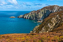 Cliffs at Gogarth Bay and showing North Stack viewed from Wales Coastal Path, Holyhead  Mountain, Anglesey, North Wales, UK, September 2017.