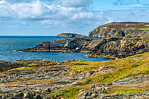 Cliffs at Porth y Gwin bay viewed from the Isle of Anglesey Coastal Path, part of the South Stack RSPB Nature Reserve, showing South Stack lighthouse in the background, Holy Island, Anglesey, North Wa...