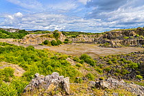 Minera Limeworks disused limestone quarry now a North Wales Wildlife Trust Reserve, near Minera, west of Wrexham, North Wales UK, August.