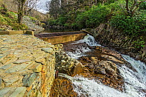 Weir at the top of Rhaeadr Mawddach waterfall, part of hydroelectric electricity generation system showing outlet lower left Afon, Mawddach, Coed y Brenin Forest, near Dolgellau Snowdonia National Par...