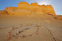 Whale skeleton, Wadi El Hitan (Whale Valley)  National Park UNESCO World Heritage Site, Egypt. November 2008.