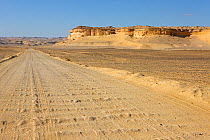 Dirt road in Wadi El Hitan (Whale Valley) Wadi Hitan National Park UNESCO World Heritage Site, Egypt. November 2008.
