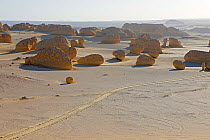 Wadi El Hitan (Whale Valley)  National Park UNESCO World Heritage Site, Egypt. November 2008.