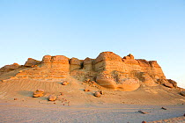 Wadi El Hitan (Whale Valley) Wadi Hitan National Park UNESCO World Heritage Site, Egypt. November 2008.