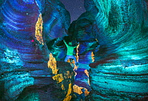 Carbonate minerals in ancient volcano north of Lake Mono, seen here at night under ultraviolet illumination. Mono Lake, California, USA. June 2017.