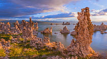 Tufa towers along Mono Lake, which form as sodium carbonate reacts with calcium rich spring water. Mono Lake, California, USA. June 2017.