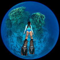 RF - Circular fisheye photo of a woman snorkelling towards a coral reef. Temple, Sharm El Sheikh, Sinai, Egypt. Red Sea. Model released. (This image may be licensed either as rights managed or royalty...