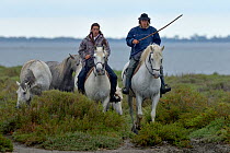 Gardians on horseback, Camargue, France, May,