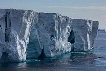 Icebergs, Possession Islands, western part of the Ross Sea, Victoria Land, Antarctica. Photographed for The Freshwater Project.