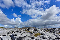 Landscape in Lough Gealain, Burren National Park, County Clare, Republic of Ireland. April 2016.