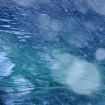 Snow falling over the sea with bokeh effect caused by the snowflakes Flakstadoya, Norway