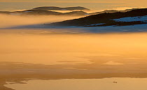 Red-breasted mergansers (Mergus serrator) on Tundra Lake  Nordkinn-Peninsula, Norway