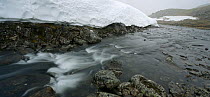 Stream through tundra and snow cornice, Nordkinn Peninsula, Norway