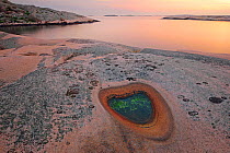 Coastline of small rocky island (skerry) Bohuslan Archipelago , Sweden , July 2015.
