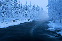 Long exposure of Kitka River with snowy forest, Kayla, Finland, January 2014.