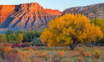 South Caineville Mesa, in the Upper Blue Hills at sunset, at the junction of the  Caineville Wash and the Fremont River,  Utah, USA, October 2017.
