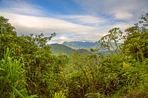 Landscape of Talamancan montane forest, Braulio Carrillo National Park, Costa Rica.