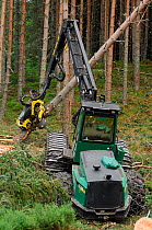 Timber harvesting machine felling and processing conifers, Inverness-shire, Scotland, August 2007