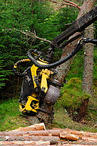 Timber harvesting machine felling and processing conifers, Inverness-shire, Scotland, August 2007
