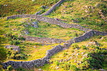 Dry stone walls some dating back to the 1600s   Pared-y-cefn-hir Mountain, Snowdonia National Park, Wales, UK, August.