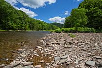 Beaverkill river, a blue ribbon trout stream,  New York, USA, May 2012.