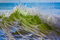 Waves off the Atlantic ocean, Cape Cod, Massachusetts, USA, September.
