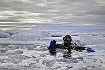 Photographer Franco Banfi diving in the Arctic sea covered with ice, Spitsbergen, Svalbard,  Norway, Arctic Ocean.