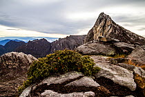 Ugly sister peak (4032m), Mount Kinabalu, Borneo, May 2013.