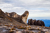 Oyayubi Iwu Peak 'the thumb' (3975.8 m) and the pinnacles. Mount Kinabalu, Borneo. May 2013.