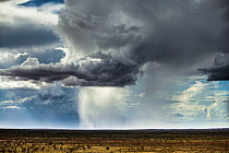 Rain falling in Western Australia, December 2013.