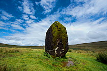 Maen Llia standing stone composed of intraformational conglomerate from Old Red Sandstone, attributed to the Bronze Age, Brecon Beacons National Park, Powys, Wales, UK