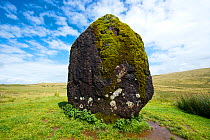Maen Llia standing stone composed of intraformational conglomerate from Old Red Sandstone, attributed to the Bronze Age, Brecon Beacons National Park, Powys, Wales, UK,