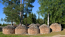 Stacks of firewood in village of Yaksha near Pechora-Ilichsky Nature Reserve, Virgin Forests of Komi UNESCO World Heritage Site, Russia's Ural Mountains. August 2016.
