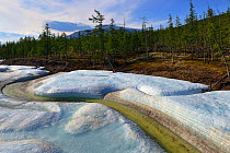 Meltwater stream through ice, Putoransky State Nature Reserve, Putorana Plateau, Siberia, Russia, June.
