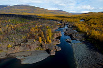River running through Putoransky State Nature Reserve with autumnal forest, Putorana Plateau, Siberia, Russia