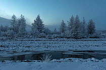 River and frosty trees, Putoransky State Nature Reserve, Putorana Plateau, Siberia, Russia